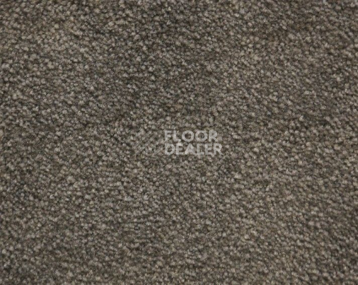 Ковролин Radici Lord Lontra 324D фото 1 | FLOORDEALER